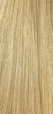 Tape Ins - Kellye Blonde